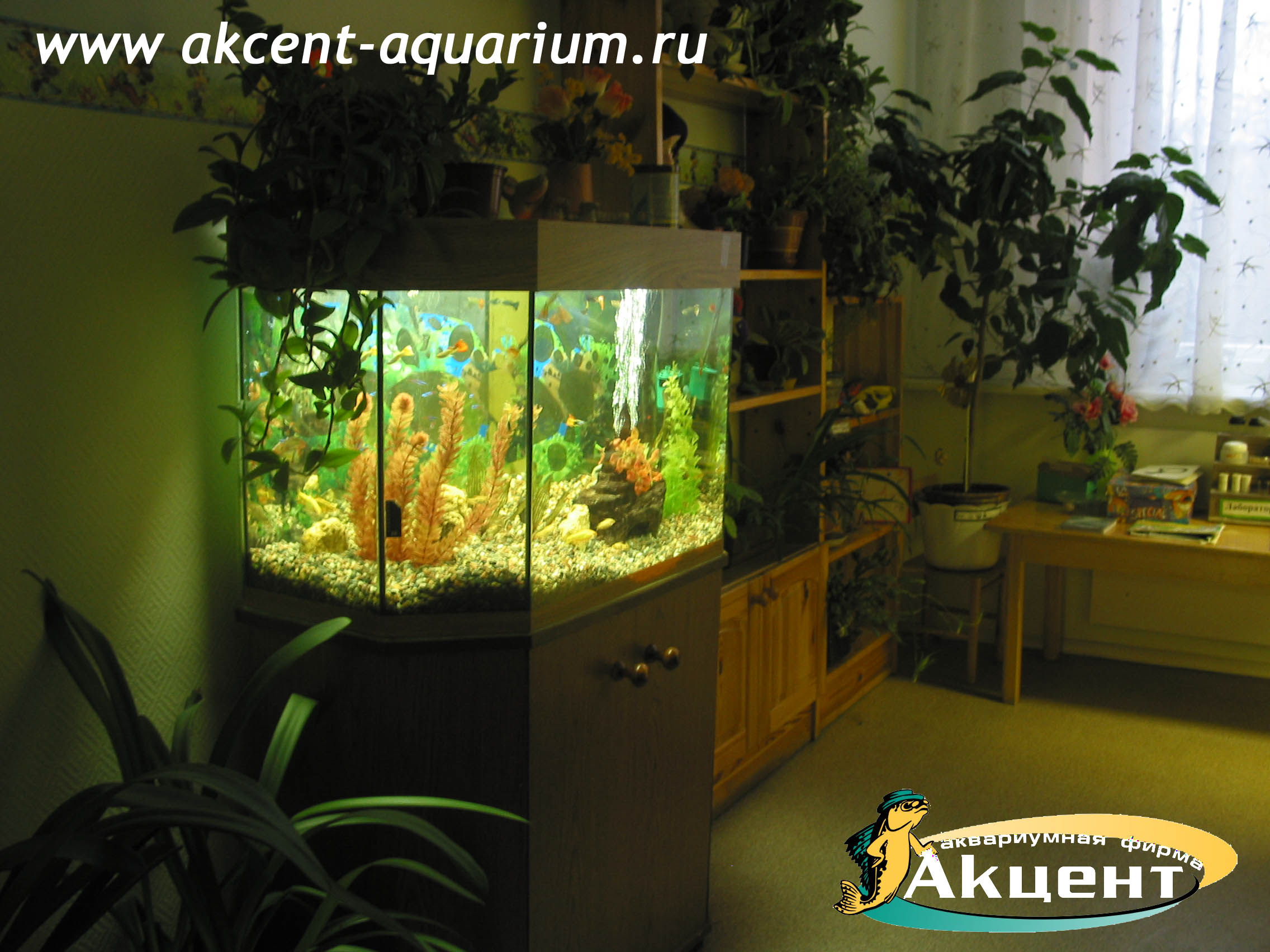 Акцент-аквариум, аквариум 160 литров, детский сад